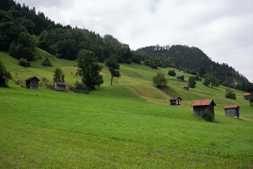 Almwiesen mit Heustadeln oberhalb des Inntals